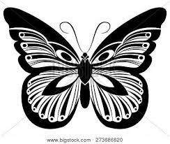 Monarch Butterfly Vector Photo Free Trial Bigstock Choose from over a million free vectors, clipart graphics, vector art images, design templates, and illustrations created by artists worldwide! monarch butterfly vector photo free
