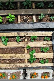 35 Best Pallet Garden Ideas Diy Tutorials For 2020 Crazy Laura