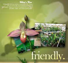 Song of songs 2:12 flowers appear on the earth; Little Brook Orchids Welcome