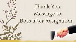 Daisies come in a rainbow of colors and are perfect for any occasion. Thank You Message To Boss After Resignation