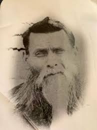 William Wallace Bemis (1834-1899)