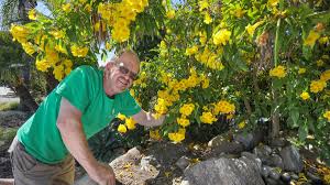 May 24, 2021 · starting a garden, or simply freshening up your front porch or yard with a display of flowers, is a great activity for spring and summer. Summer Blooms That Can Take The Heat The San Diego Union Tribune