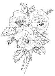 Pin By Dương De Sồm On Mama Flower Drawing Flower Drawing Design Flower Coloring Pages