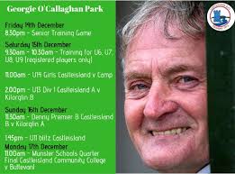 Georgie O'Callaghan Park **** Castleisland AFC are delighted to announce  that our new full size 3G Artificial Turf Playing Pitch is complete and  ready for use. There was only one name