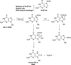 China wind ethnic background collage elements, watercolor painting, textile png. Metabolism And Biomarkers Of Heterocyclic Aromatic Amines In Humans Genes And Environment Full Text