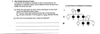 Solved 5 Sex Linked Dominant Traits A Rare Form Of Ricke