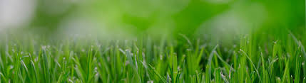 Owner, bobby obrien has brought on a professional, environmentally conscious team to bring sustainable lawn care to san. Bobby Jenkins Abc Services Rotary Club Of Austin