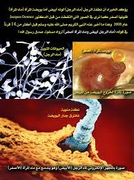 نجيل عرقي غبي ماء المرأه مفيد للرجال Microvoadores Com