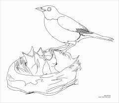 This one was scanned from a darling circa 1922 children's bird book. Robin Bird In Nest Coloring Pages Coloringbay