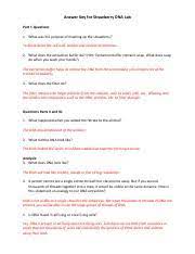 Dna extraction from strawberries practical manual docsity. Answers Strawberry Dna Pdf Answer Key For Strawberry Dna Lab Part I Questions 1 What Was The Purpose Of Mashing Up The Strawberry To Break Down The Course Hero