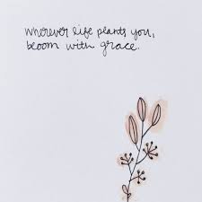 Bulgarian saying click to tweet. 75 Short Quotes About Life Love Inspiration And The Pursuit Of Happiness In 2020 Life Is Too Short Quotes Grace Quotes Short Quotes