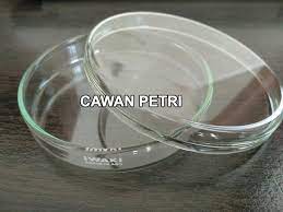 Botol kultur , cawan petri , oven ,tabung reaksi, autoclave , bunsen, erlenmeyer,pinset,neraca analitik,pipet,hot plate,lamina air flow,scapel,labu ukur. Pengertian Cawan Petri Fungsi Dan Cara Menggunakannya Ilmu Kimia