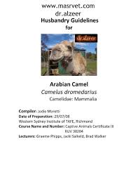 Amazingly a giraffe can go longer without water than a camel can. Husbandry Guidelines Arabian Camel Camelus Dromedarius Www