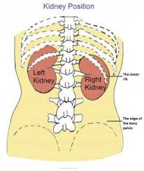 Pin On Symptoms