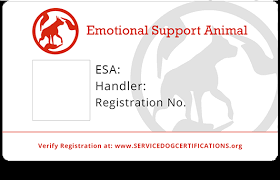 Timely filing appeals letter to insurance payer. Emotional Support Animal Id Service Dog Certifications