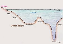 Image Result For Four Types Of Ocean Floor Types Of Ocean Earth Science Lessons Ocean