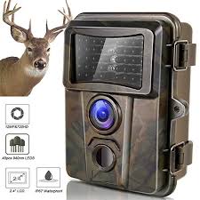 Kilison Trail Cameras Wildlife Game Camera With No Glow Night Vision Motion Activated Hunting Cam 12mp 720p 40pcs 940nm Ir Leds 2 4 Lcd Ip67 Waterproof Deer C Game Cameras Night Vision Hunting