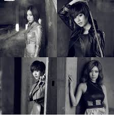 T Ara Hyomin Jiyeon Hwayoung Qri Eye Black T Ara Hyomin Tara