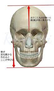20年近く 絶壁 面長で悩んでます 両親も同じ感じなので 一生このままかと思っていました という相談を受けました しづひめ note 顔のエクササイズ 顔 矯正 絶壁