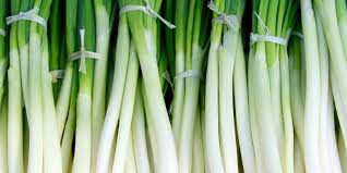 Daun bawang adalah jenis sayuran yang mudah ditanam. Ini Trik Menanam Daun Bawang Tanpa Busuk Akar Halaman All Kompas Com