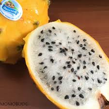 Learn about dragon fruit & how to eat it. The Rare And Sweetest Dragonfruit Yellow Dragonfruit Pitahaya Momobud