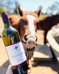 An ideal taste of what the hunter valley has to offer. Ov Pyshmdee8nm