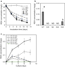 Hay guys welcome back to your channel kfg gaming. Genetic Modification Of Western Wheatgrass Pascopyrum Smithii For The Phytoremediation Of Rdx And Tnt Springerlink