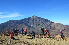 Should you invest in tivity health (nasdaqgs:tvty)? Tivity San Cristobal De La Laguna Aktuelle 2021 Lohnt Es Sich Mit Fotos