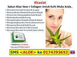 Kebaikan aloe vera juga boleh rawat luka? Sabun Aloe Vera Collagen Ori Sabun Aloe Vera Collagen Khasiat Aloe Vera Lidah Buaya Anti Penuaan Dan Anti Oksida Kandungan Mineral Seperti Vitamin C Vitamin E Dan Zink Dalam Sabun Aloe Vera Lidah Buaya Bermanfaat Sebagai Anti Oksida