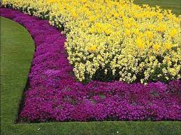 Edge the area or add a border to keep surrounding grass from creeping into your new flower bed. Invisible Flower Bed Borders For Natural And Beautiful Garden Design