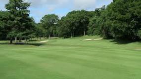 Image result for golf course zoysia grass how to