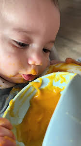 Que Le Puedo Dar De Comer A Una Golondrina Bebe