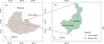 Image result for Lipocarpha rehmannii