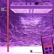 I am going to use it for flowering, and i want to use ceramic metal hallide lights. Best Led Light For 4x4 Grow Tent To Get More Yield 2021 Guide Review