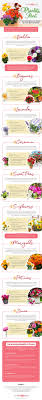 Roses delivery same day in philippines. Plantita Alert 9 Low Maintenance Flowers You Can Grow At Home Blog Flower Patch Online Flower Delivery Phillippines