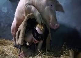 You will find all your kinky fantasies! Hot Pig Fucked Her Ass In The Barn Zoo Porn