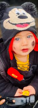 Mobile mechanic services in Hernando district