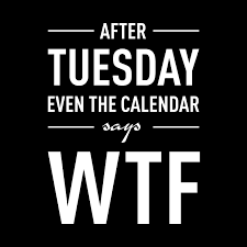After Tuesday Even The Calendar Says Wtf By Silje Lund Weird Quotes Funny Fun Quotes Funny Funny Quotes