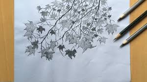 Follow along with our easy step by step drawing lessons. Maple Leaves Drawing In Pencil Easy Leaf Drawing Pencil Sketch For Beginners Youtube