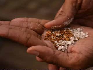 गुटखा-पानमसाला, खाद्यतेल अन् बेकरी उत्पादनांवर अन्न व औषध प्रशासनाची धडक कारवाई; नांदेड जिल्ह्यातील अनेक पेढ्या सील