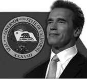 Sea Shell: Científicos piden que se suspenda el uso de transgénicos en todo  el Mundo