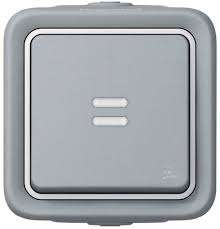 Interrupteur Va Et Vient Lumineux Plexo Gris 10 Amperes 230v Brico Depot