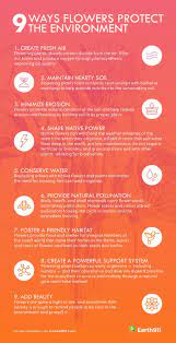 Infographic: 9 Ways Flowers Protect The Environment - Earth911