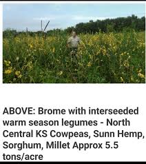 We did not find results for: Viewing A Thread Interseeding Summer Annuals Into Brome