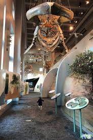 Maybe you would like to learn more about one of these? 25 Fun Winter Things To Do In Raleigh North Carolina Travel