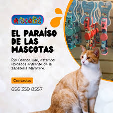 Mascota 2