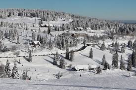 Der Feldberg Im Wintermantel Feldberg Winter Schnee Urlaub Ausflug Outdoor Outdoor Winter Snow