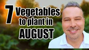 23 Should I save it ?