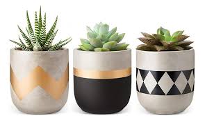 Check out our pot kaktus selection for the very best in unique or custom, handmade pieces from our shops. 10 Kreasi Pot Kaktus Dari Semen Cocok Untuk Dekorasi Rumah