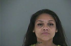 LUSK, BRITTANY LEIGH Charge: COMPUTER OFFENSE